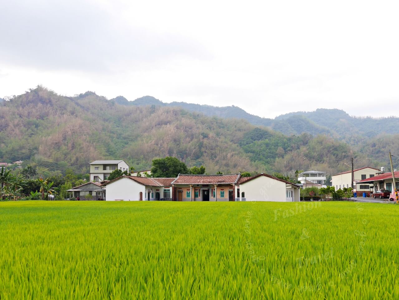高雄住宿,美濃山下香蕉與黑膠三和院，遠離都市塵囂、放空休憩好去處 @yass集合啦！