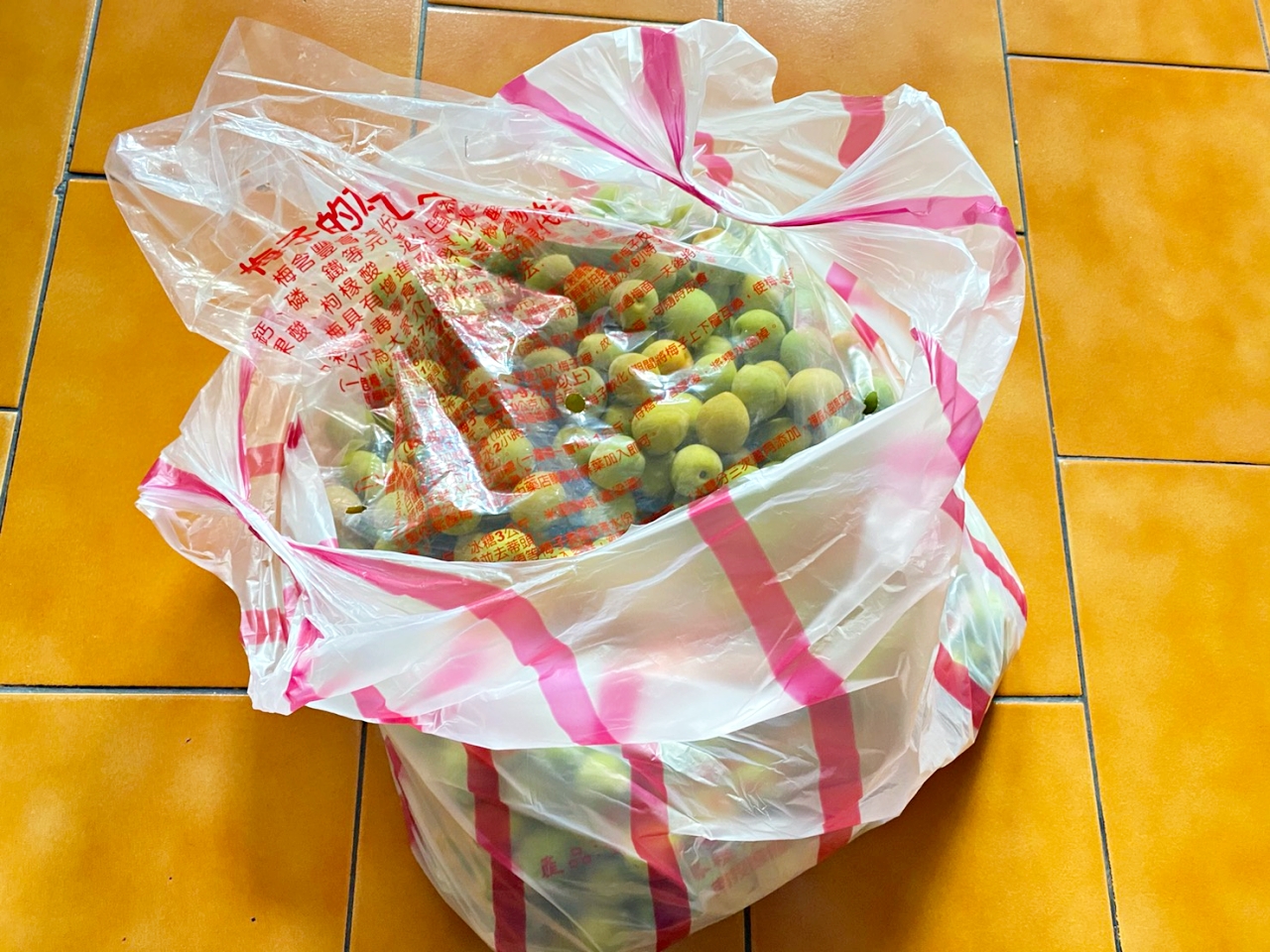 在家就能簡單釀梅酒，梅酒製作過程記錄 @yass集合啦！
