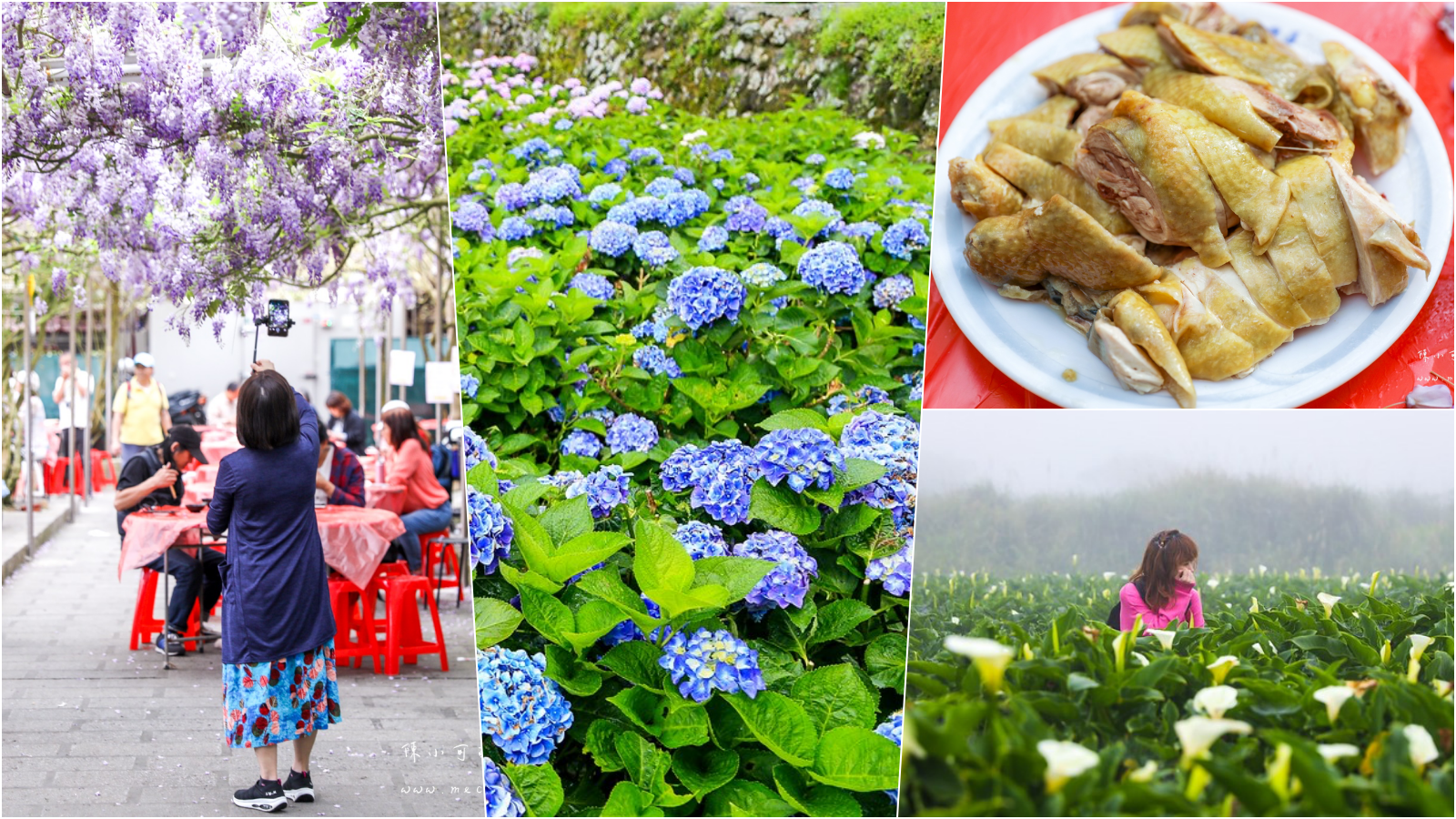 陽明山美食：5間陽明山土雞名單分享，竹子湖餐廳推薦！ @yass集合啦！