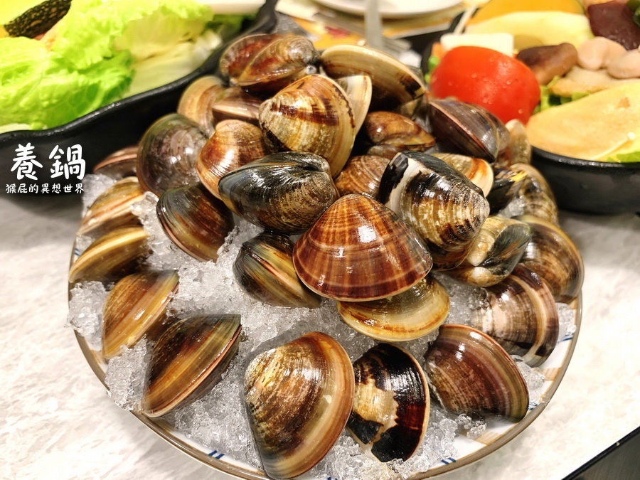 【新北中和】中和新開幕火鍋-養鍋石頭涮涮鍋 (台北中和店)！一斤蛤蠣好彭湃、山藥牛奶鍋好吃！環境優、適合聚餐、有包廂！寵物友善餐廳！近捷運永安市場站！ @yass集合啦！