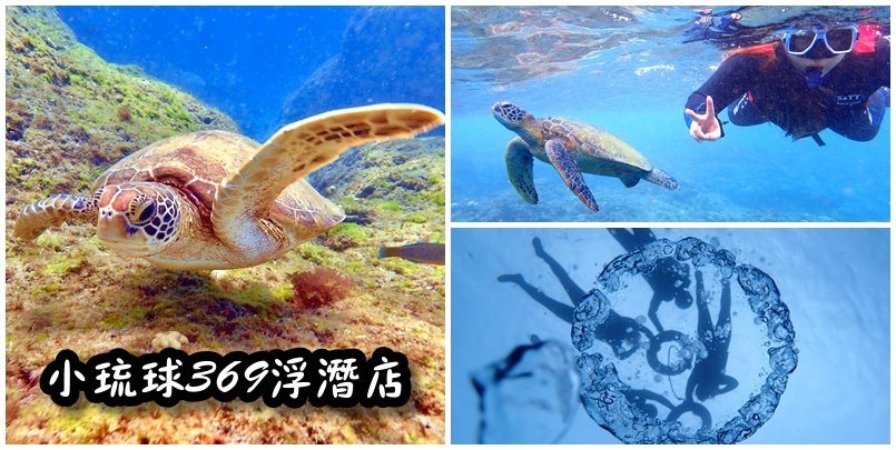 【小琉球冬天浮潛】小琉球冬天海龜更多浮潛更好玩！小琉球369浮潛店有專業教練帶你去跟海龜拍照&抓魚！來小琉球就是要浮潛看海龜！(小琉球冬天旅遊、小琉球浮潛) @yass集合啦！